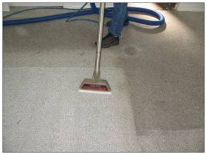 carpet cleaning